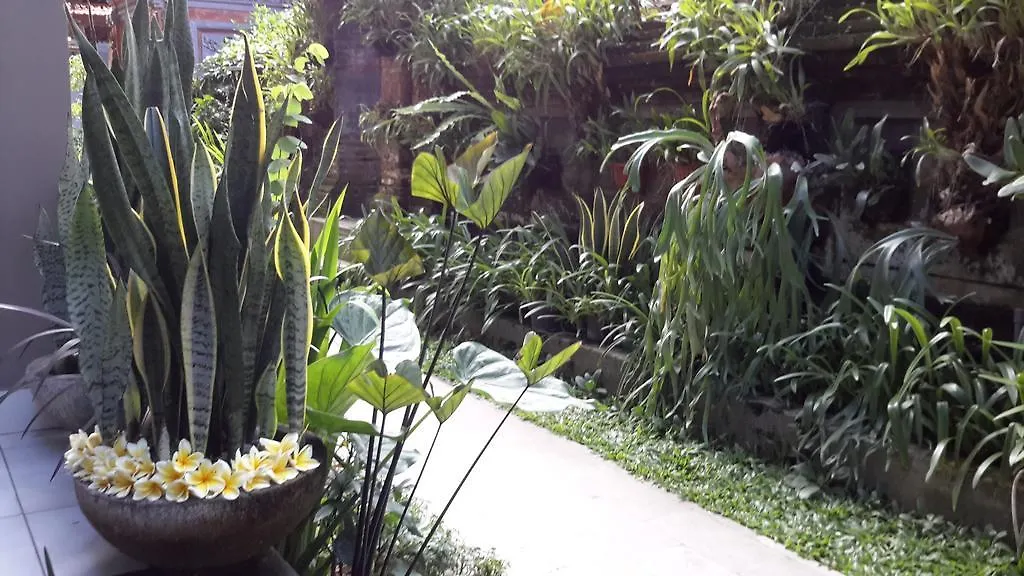Dono Guest House Ubud